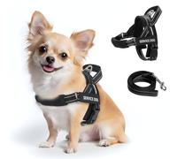 FAYOGOO Service Dog Vest for Small to Large Sized Dogs,Lightweight Service Dog Harness with Adjustable Chest Strap,No-Pull No-Chock Escape Proof Dog Harness for Walking Training