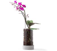 Fayoula Glass Orchid Pot, 4 inch Clear Orchid Pot with Holes for Repotting, Visual, Well-Ventilated, Providing a Stable and Healthy Growth Environment for Plants