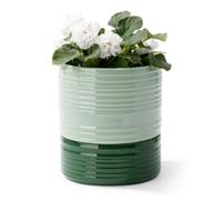 Fayoula Self Watering Ceramic Plant Pot, 6 Inch African Violet Planter with Drainage Hole & Water Storage, Striped Cylinder Indoor/Outdoor Medium Green Pot