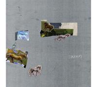 Fazed On A Pony - Swan [VINYL]