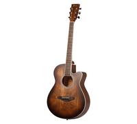 Fazley W55-COL-BR ColourTune Acoustic Guitar (Brown)