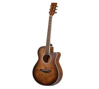 Fazley W55-COL-BR-EQ ColourTune Electro-Acoustic Guitar (Brown)