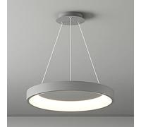 FAZRPIP 20" Modern LED Ring Pendant Lights Dimmable Circle Ring Chandelier 1-light Metal Hoop Hanging Lamp For Living Room Living Room Kitchen Foyer Bedroom LED Ceiling Lamp