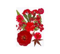 Fazvncv 15Pcs Dried Pressed Flower for Resin Molds Natural Dry Flower Leaves for Art Craft Scrapbooking Jewelry Candle Making
