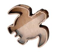 Fazvncv Seashells Holders Seashells Display Box for Teeth Starfishs Collection Small Shadows Beach Coastal Homes Decors Small Shadows