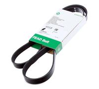 FB6EPK831 INA 6 Ribbed Drive Belt Fits Ford Transit