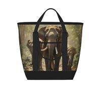 FBGHHTY Asian Elephantsprint Women Men Large Capacity Insulated Tote Bag For Grocery Lunch Picnic Beach Outdoor Adventures