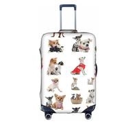 Fbghhty Cute Chihuahua Pug Pattern Print Universal Travel Suitcase Cover Elastic Luggage Protector Waterproof Dustproof