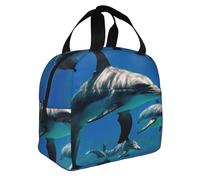 FBGHHTY Funny Animal Dolphin Print Insulated Lunch Bag Meals Drinks Beverages Kids Teenagers Students Travel School