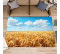 FBRUIEG Wheat Field Rugs for Living Room, Harvest Rug, Sky Rugs for Bedroom, Non Slip Washable Area Rug, Low Pile Carpet for Hardwood Floors - 80x150 cm