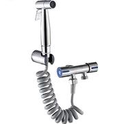 FBSHAD Chrome 304 Stainless Steel Toilet Spray Set Supercharged Washing Machine Small Shower Toilet Brush Companion Faucet Body Cleaner