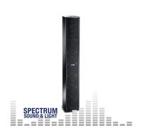FBT CLA 604A [34549] Active Speaker Cabinet powered, speakers, touring, install,