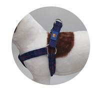 FC BARCELONA - Dog Harness, Breathable, Adjustable, Ultra Comfortable Harness for Small Dogs, Size S, 3 Available Sizes, Blue, with Coat, Official Product (CyP Brands)