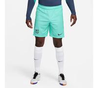 FC Barcelona Season 2023/2024 Official Third Short Stadium Men's Nike Shorts L