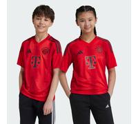 adidas Bayern Munich 24/25 Home Shirt Jnr YM 11-12Y