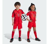 FC Bayern 24/25 Home Mini Kit