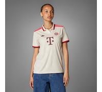 FC Bayern 24/25 Third Jersey