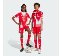 Adidas Fc Bayern 25/26 Home Junior Shorts Red 7-8 Years Kids
