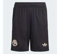 FC Bayern 25/26 Third Shorts