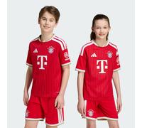 Adidas Fc Bayern Munich 26/27 Home Junior Short Sleeve T-shirt Red 13-14 Years Kids