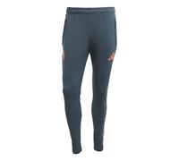 FC Bayern adidas Training Pants - Dark Grey