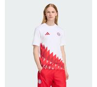 FC Bayern Muenchen Anthem Graphic T-Shirt