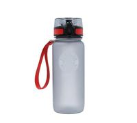 FC Bayern München Drinking Bottle, Grey, 0.65 L