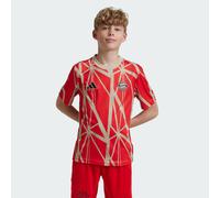 Adidas Fc Bayern Munich 24/25 Pre Match Junior Short Sleeve T-shirt Red 15-16 Years Boys