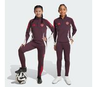 2024-2025 Bayern Munich Training Pants (Shadow Maroon) - Kids