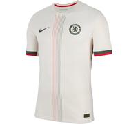 FC Chelsea 2025/26 Match Away Nike Authentic Dri-FIT ADV Football Jersey for Men HJ4553