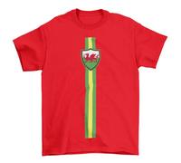 fc liga Wales Football T-Shirt Retro Vertical Strip Adults Kids Or Baby Patriotic Cymru Top Red