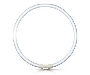 FC40w/T5 - T5 Circular Tube 40W - Colour Warm White - 830 - GX13 Cap