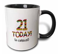 FCBFPT 11oz Coffee Mug 21 Today in Celsius Cute Mug Ceramic Coffee Mugs for Women and Men