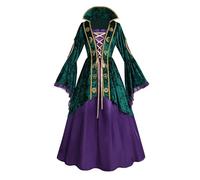 FCCAM Witch Costume for Women Hocus Pocus Winifred Sanderson Sisters Costumes Halloween Medieval Dresses, M