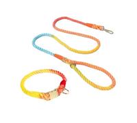 FCLSVOQZ Rainbow Macaron Dog Collar And Leash Set Anti-break-free Compatible With Medium Large Dogs Corgi Shiba Collar(1 Rainbow 1.5m,L)
