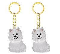Fcnjsao 2/3/4/5/10Pcs Pet Memorial Keychain With Clear Furs Collector For Grieving Cats Dog Owners Keepsakes Charm Miniature Pet Memorial Keyring