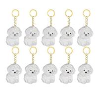 Fcnjsao 2/3/4/5/10Pcs Pet Memorial Keychain With Clear Furs Collector For Grieving Cats Dog Owners Keepsakes Charm Miniature Pet Memorial Keyring