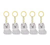 Fcnjsao 2/3/4/5/10Pcs Pet Memorial Keychain With Clear Furs Collector For Grieving Cats Dog Owners Keepsakes Charm Miniature Pet Memorial Keyring