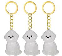 Fcnjsao 2/3/4/5/10Pcs Pet Memorial Keychain With Clear Furs Collector For Grieving Cats Dog Owners Keepsakes Charm Miniature Pet Memorial Keyring