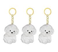 Fcnjsao 2/3/4/5/10Pcs Pet Memorial Keychain With Clear Furs Collector For Grieving Cats Dog Owners Keepsakes Charm Miniature Pet Memorial Keyring