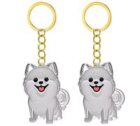 Fcnjsao 2/3/4/5/10Pcs Pet Memorial Keychain With Clear Furs Collector For Grieving Cats Dog Owners Keepsakes Charm Miniature Pet Memorial Keyring