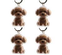 Fcnjsao 2/3/4/5/10Pcs Pet Memorial Keychain With Clear Furs Collector For Grieving Cats Dog Owners Keepsakes Charm Miniature Pet Memorial Keyring