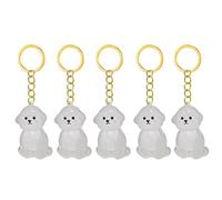 Fcnjsao 2/3/4/5/10Pcs Pet Memorial Keychain With Clear Furs Collector For Grieving Cats Dog Owners Keepsakes Charm Miniature Pet Memorial Keyring