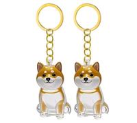 Fcnjsao 2/3/4/5/10Pcs Pet Memorial Keychain With Clear Furs Collector For Grieving Cats Dog Owners Keepsakes Charm Miniature Pet Memorial Keyring