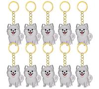 Fcnjsao 2/3/4/5/10Pcs Pet Memorial Keychain With Clear Furs Collector For Grieving Cats Dog Owners Keepsakes Charm Miniature Pet Memorial Keyring