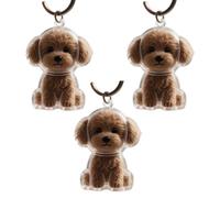 Fcnjsao 2/3/4/5/10Pcs Pet Memorial Keychain With Clear Furs Collector For Grieving Cats Dog Owners Keepsakes Charm Miniature Pet Memorial Keyring