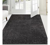 FCSDETAIL Dirty Trap Door mat 120 x 180 cm, Non Slip Machine Washable Entrance Rug, Inside Floor Runner for Dog, Door and Hallway