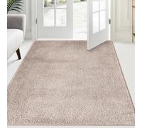 FCSDETAIL Dirty Trap Door mat 120 x 180 cm, Non Slip Machine Washable Entrance Rug, Inside Floor Runner for Dog, Door and Hallway
