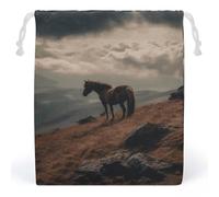 FCTVSKLN Storage Bags Makeup Bag Reusable Bags Toy Horse Grazing on The Mountain Printed Bag Toiletry Organizer Multipurpose Bags Suitable Cosmetics Headphones Jewelry, style, 20*25cm, Modern