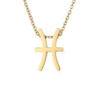 FCXDMY 12 Signs Constellation Pendant Necklace - 14K Gold Color 12 Constellations Necklace Oroscope Astrology Birthday Gifts For Women Jewelry ui